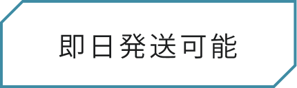 即日発送可能